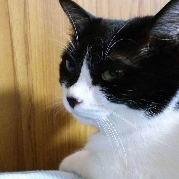 Ee8300db 629b 46a2 8535 669adff94c84 1527778634428