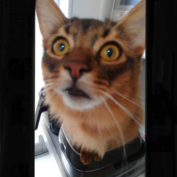 Ee834136 76bd 4d44 8014 55399e1ca0cf 1606177547828