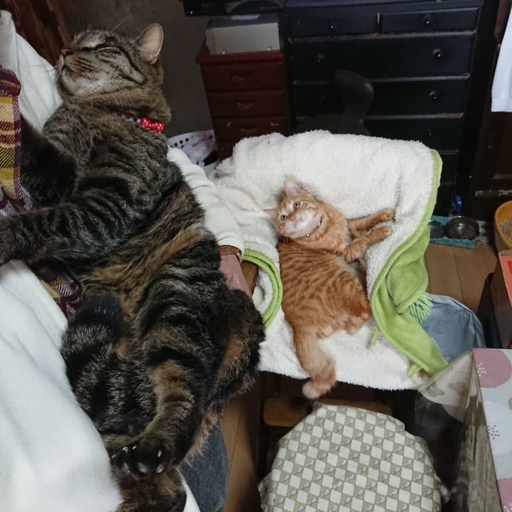 Ee834371 0d3b 4f79 a40a de51be5bd7e7 1640918163094