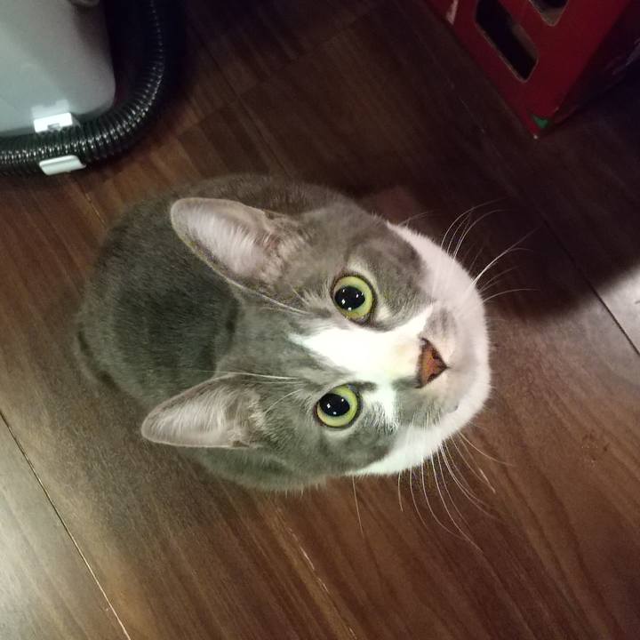 Ee83841e f4a9 4c43 92c4 4006f6740a09 1613339617029