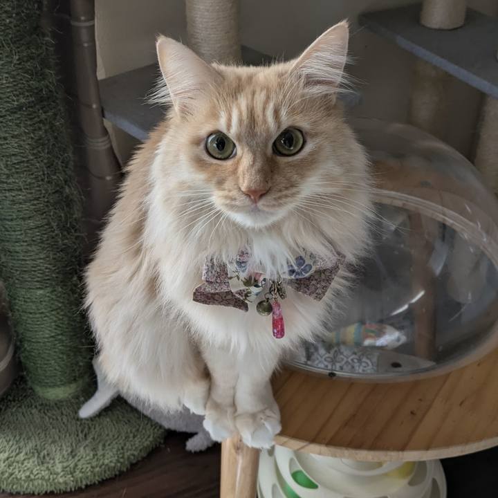 Ee838523 80c7 4643 ad9a 2541499eb647 1770262450266