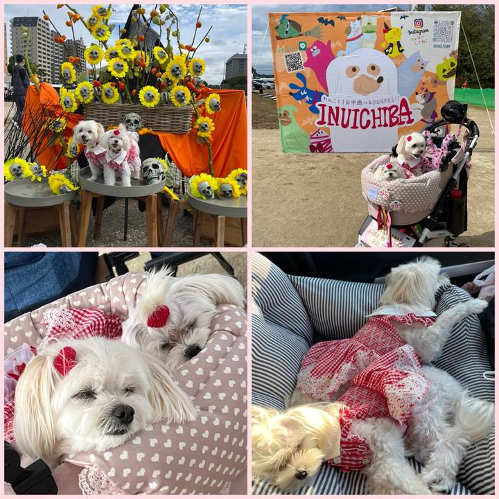 Ee83cd94 8fa0 453a bf94 0fbd4ec1c941 1728133064250