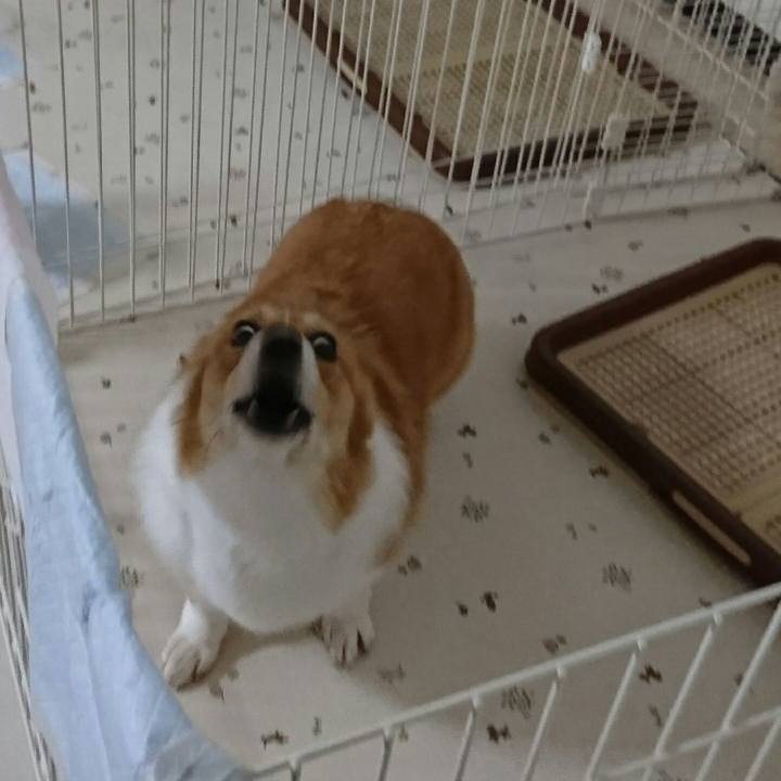 Ee83e617 ab6e 41c1 bb29 29e890ad6689 1545490144307