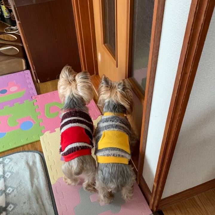 Ee8415cb 1a26 4a45 bca8 711b5dc59870 1614075048853