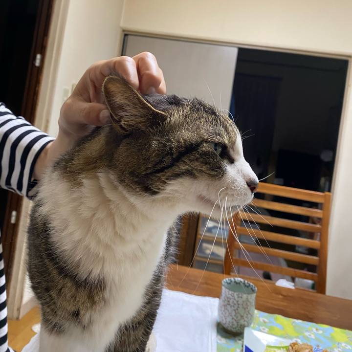 Ee842e69 ff17 4063 9b8a 5cbb08ccb241 1684802399129