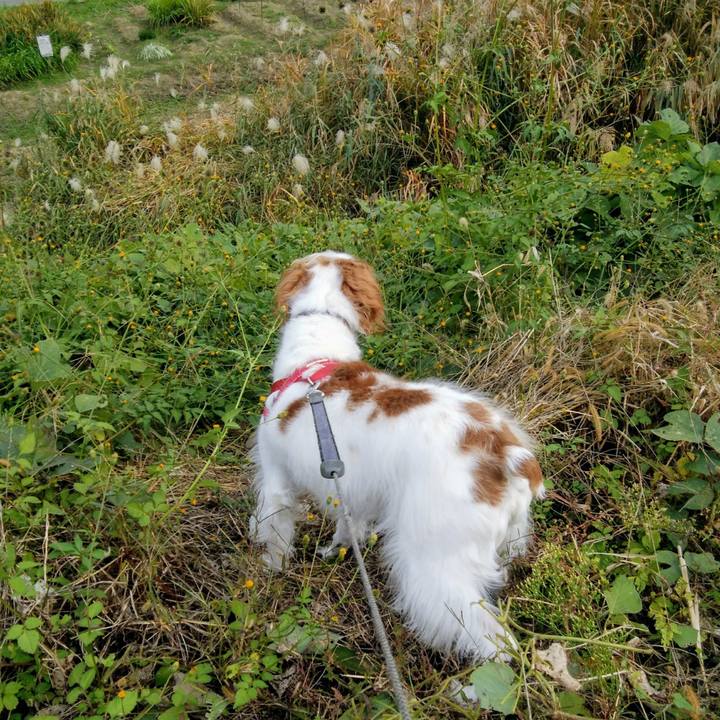 Ee84596f 4584 4573 b010 a16af5a5d8de 1543222633032