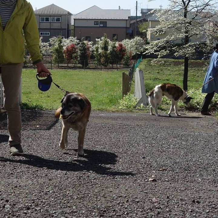 Ee8495ca 654f 4c6f a141 caec52953252 1523151344570