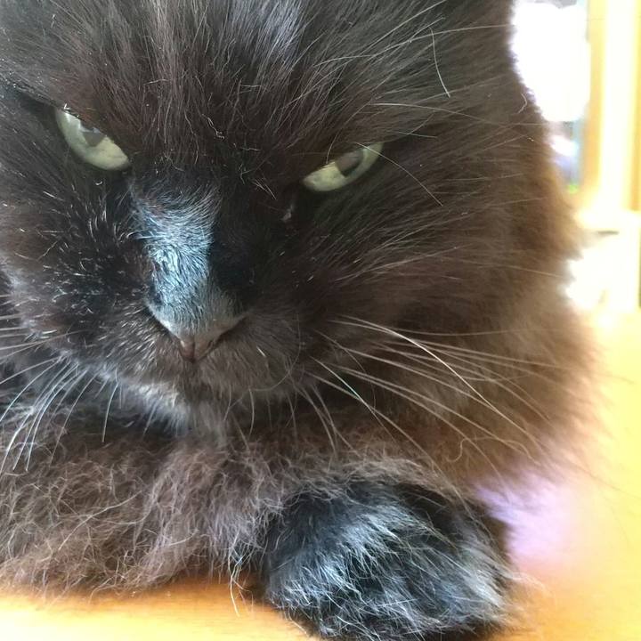 Ee84a1e6 8f99 4791 8b5b fb5c59d7fd2e 1625008788302