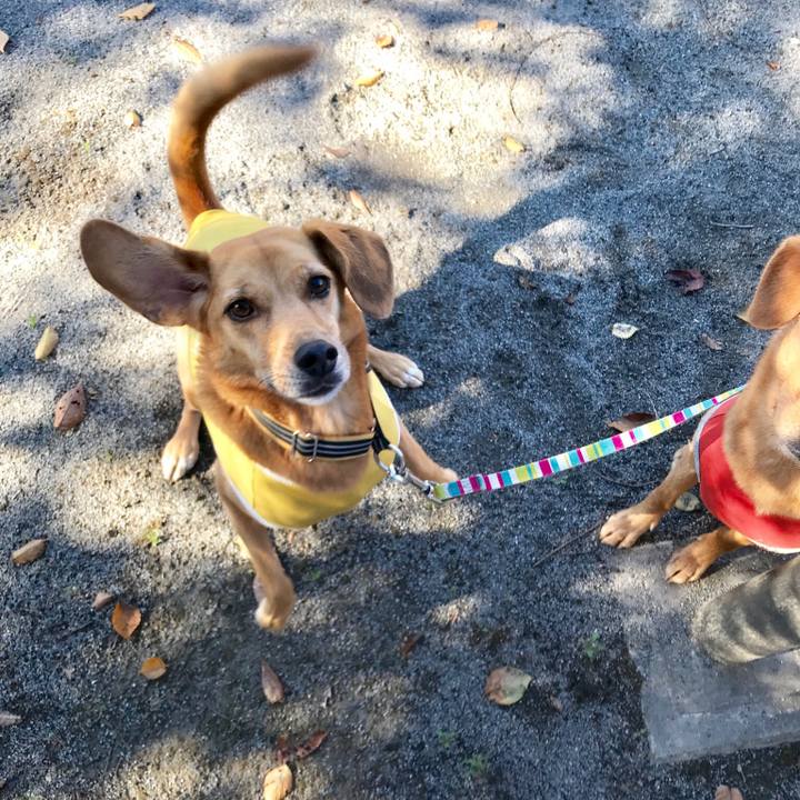 Ee84c424 019d 4c9d ad26 b2f596055b75 1542285291233