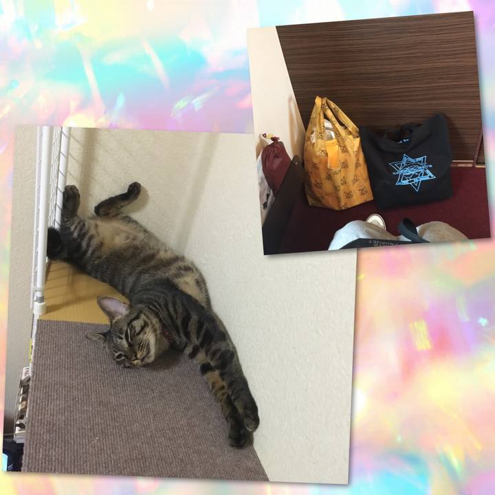 Ee84da2a 2af5 481b b987 9d0744229cde 1565562198130