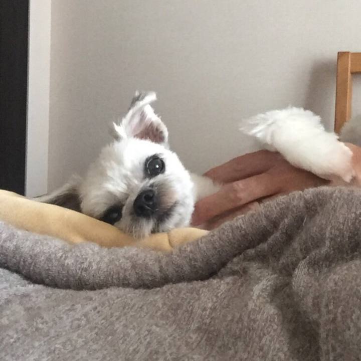 Ee84dac8 7554 473d aad9 5fa67137862d 1540601499229