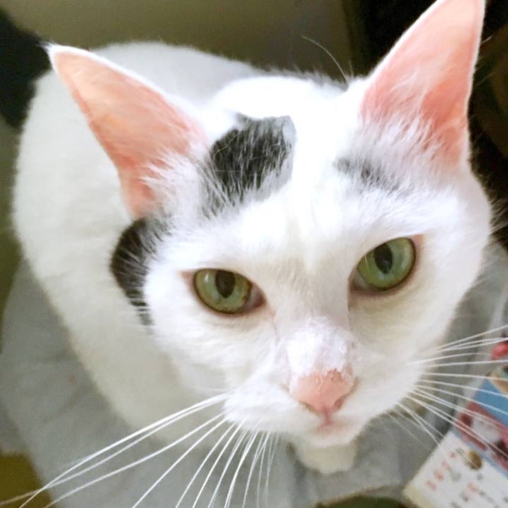 Ee84e27c 3435 4793 b03a d970e820635c 1565925200586