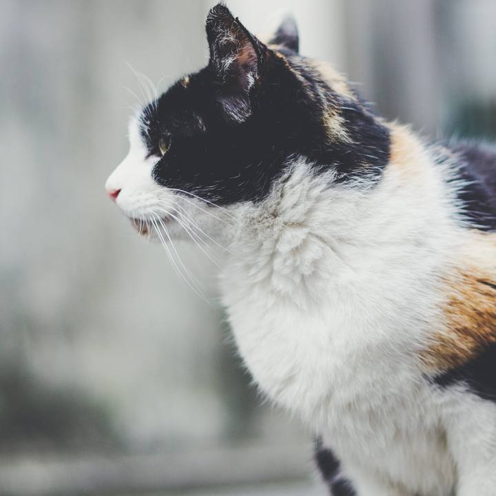 Ee84e554 e36a 472f bb4a bf5f86b74427 1543193739684