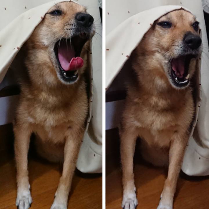 Ee84e5af 1d4e 4310 be05 490fae918e34 1629643443178