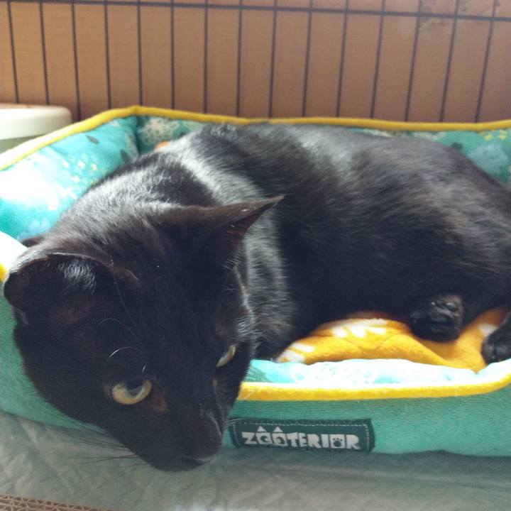 Ee851064 de05 46da 8c13 b9b61d358a1f 1570165111824