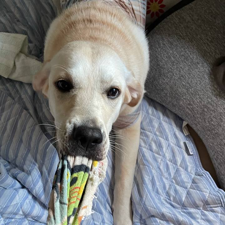 Ee851fd7 2f10 4c2c 8213 f87af7620ff8 1628546485677