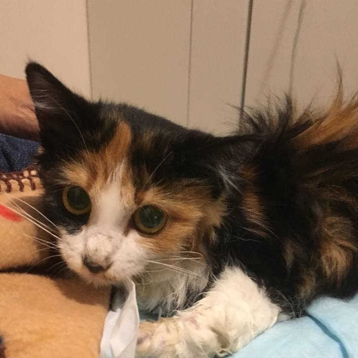 Ee852dab ff9f 42fe 9dbe ce4ea1c93a8d 1508038061695