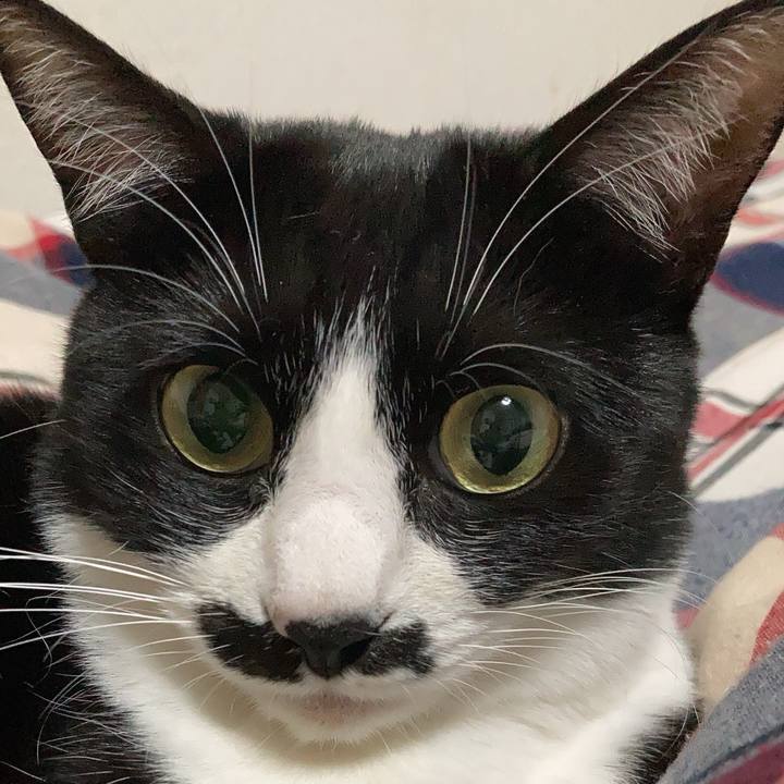 Ee855313 25fc 4cc1 a6d3 6b25bd505ca5 1713102655548