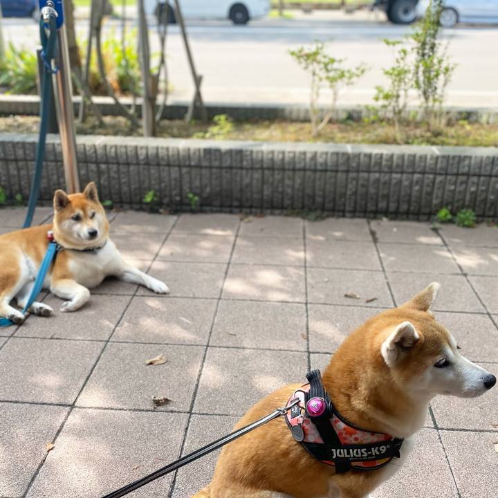 Ee855fd2 5a49 4e5e a7f1 532341ba438a 1629451241068