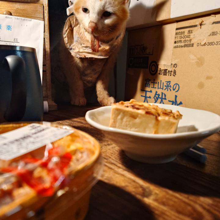 Ee8588ee e34a 425d 8b86 27678ad73890 1763206915036