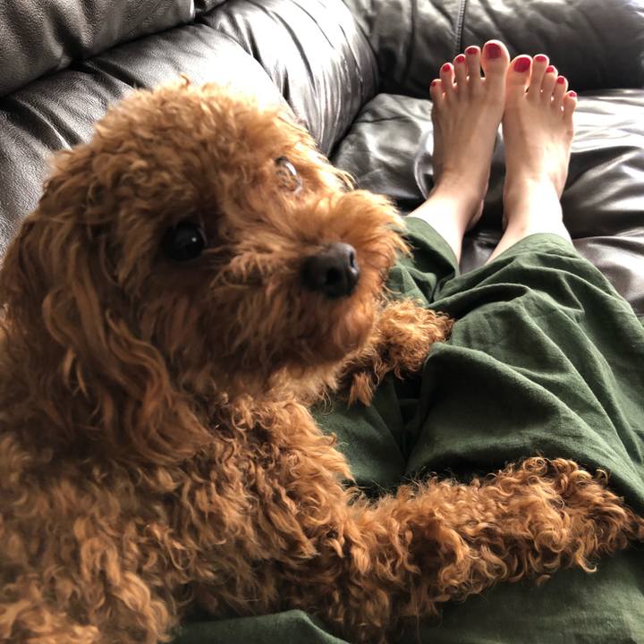 Ee863d7f f956 477c 8ab7 6d381cda7fd5 1525480301529