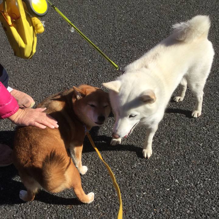 Ee863fa5 e98f 485d a669 70e29ce0cb78 1549247460480