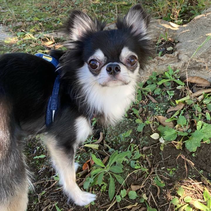 Ee864600 b62b 481c a00f dce40c725916 1634997348540