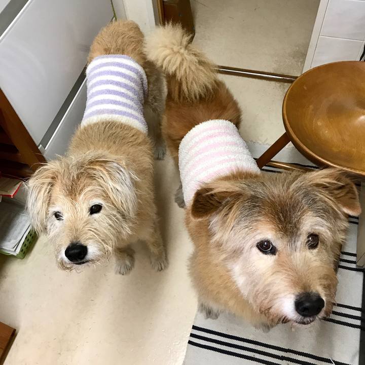 Ee8654cb 0f36 406c a1f0 1d936071b37b 1607092274105