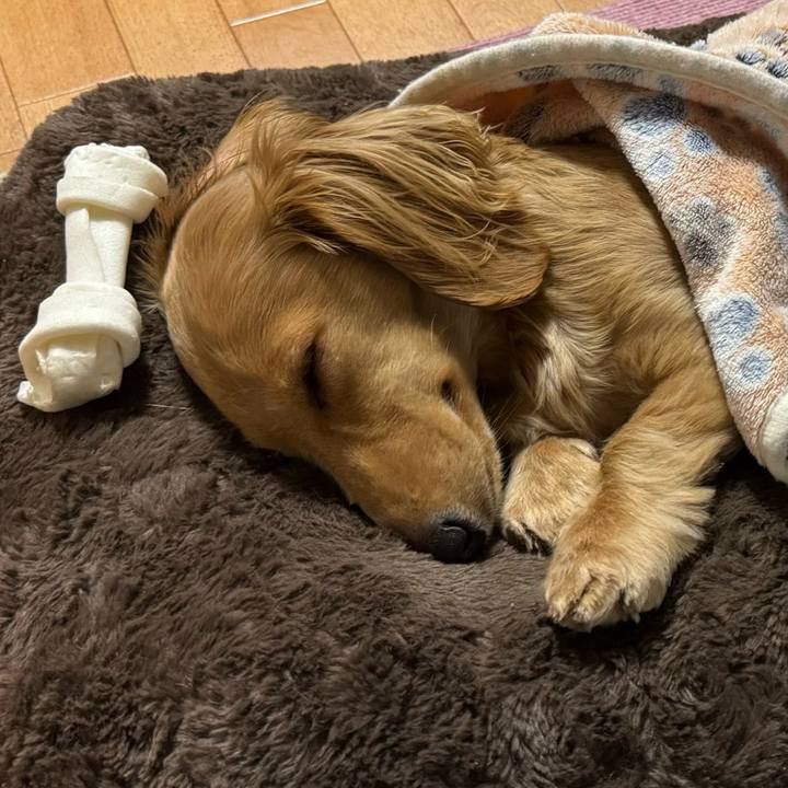 Ee86773e 4290 49d2 a9f0 de74e70c4acc 1700572283364