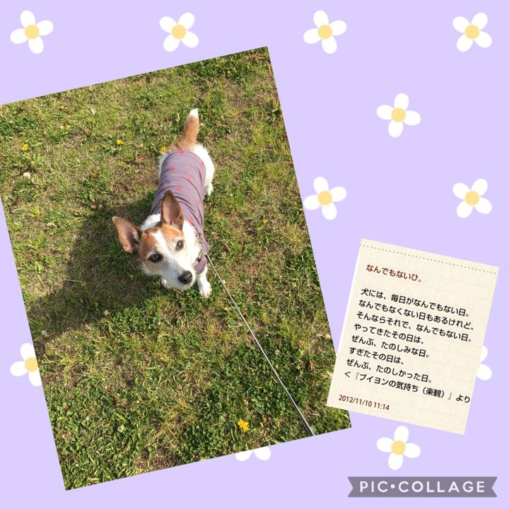 Ee86864b e309 47d9 931c 5e51bb481106 1620862300448