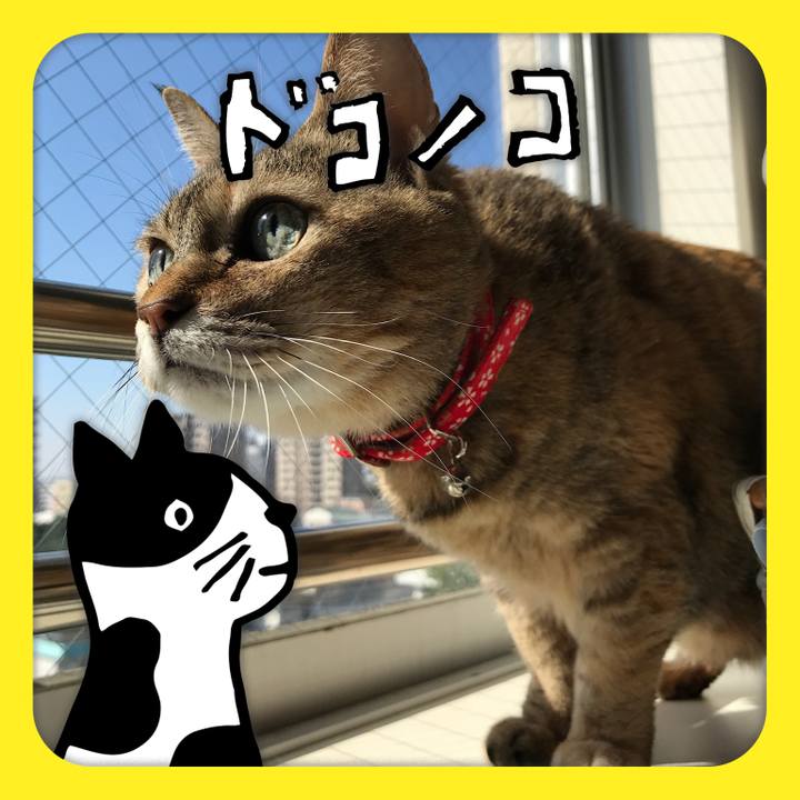 Ee86890c 32c2 4b52 8574 baff585e4046 1622886689729