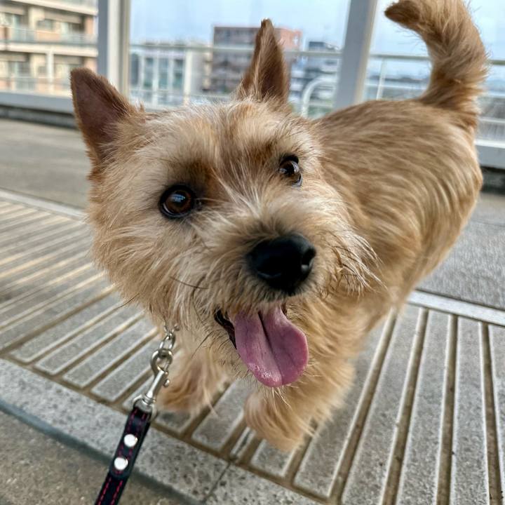 Ee868ba7 33dd 49f1 bc4f 4e74cade6dc6 1748505396730