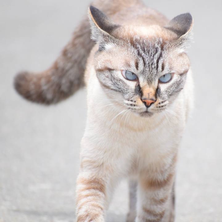 Ee86b37f 2af8 4a06 b91b 783e9dc598eb 1530431726917