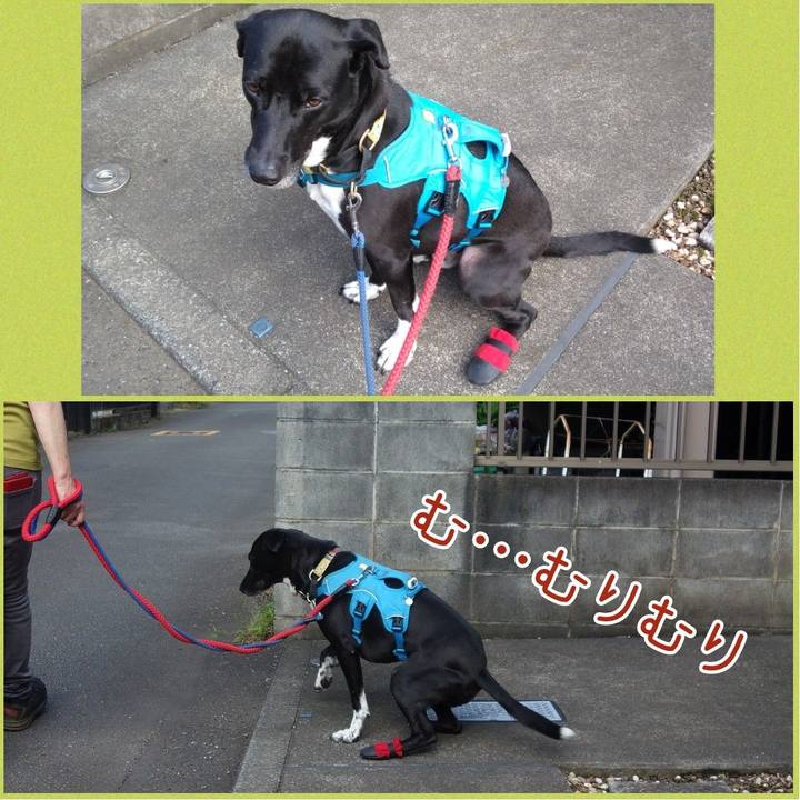 Ee86bc78 eca0 4c42 8fdd 56695050c513 1623715509959