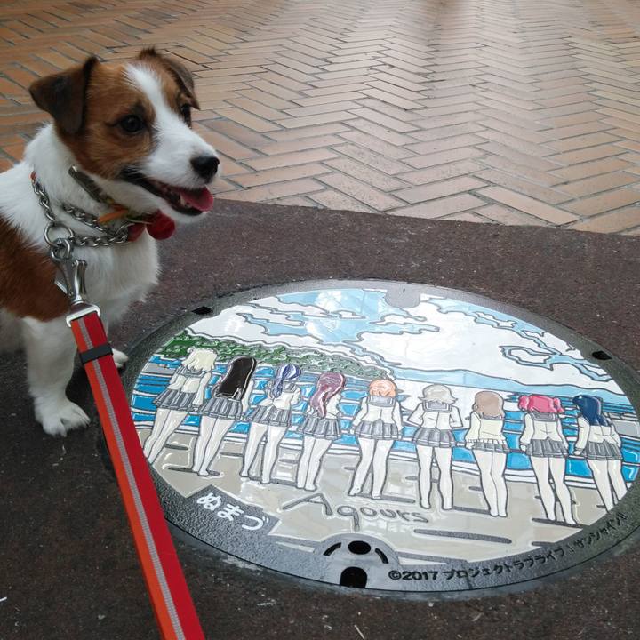 Ee86d57c a2b9 41e7 8b05 ceb82b6cf29c 1541371982836