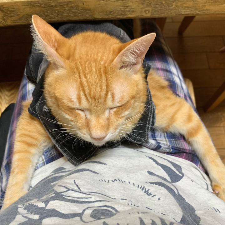 Ee8710d3 390d 4fcf b2f4 07a4dfe138cd 1625175878812