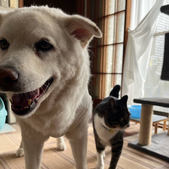 Ee875537 b805 41e3 ae57 25848679d4af 1759360931543