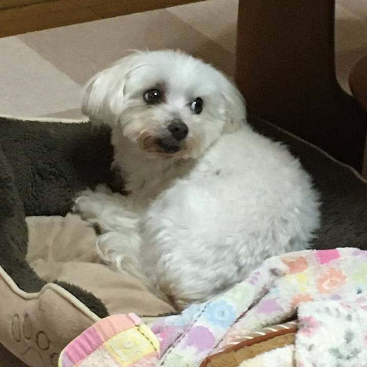 Ee877700 f294 46a1 b45f b1515645a5fe 1620907140024