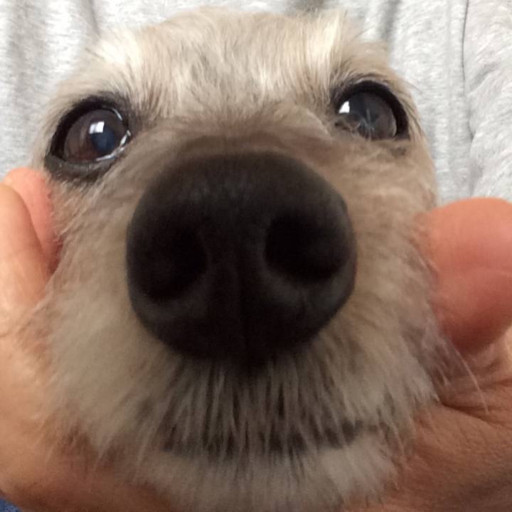 Ee87797d 6439 40ba 841b df57b3ae994d 1523654644638