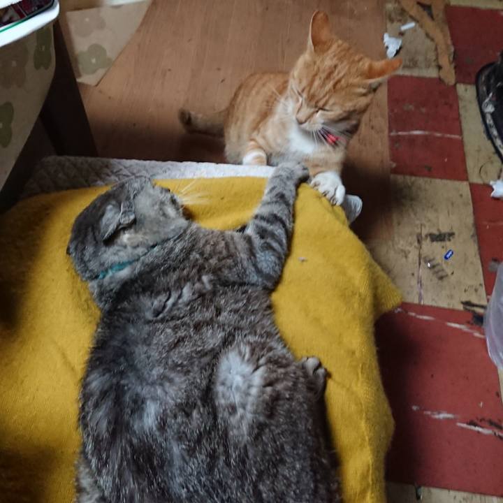 Ee87a14c 7dc4 4e32 9be2 feeea3d62568 1570226270443