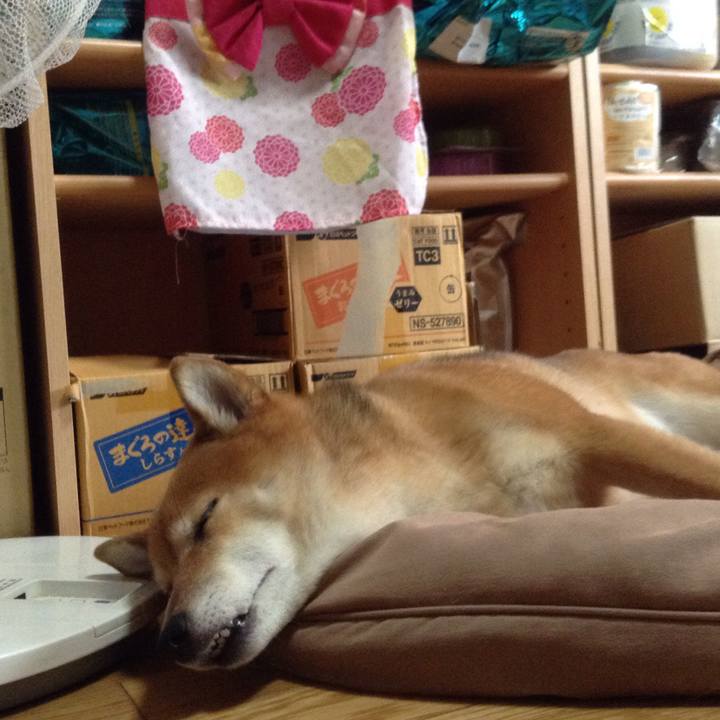 Ee87bc05 eb23 4b68 81d7 d0d884a70fac 1534235996793