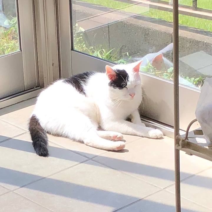 Ee87c3be 7814 48ca 8f97 0db1bfebf66d 1534640559817