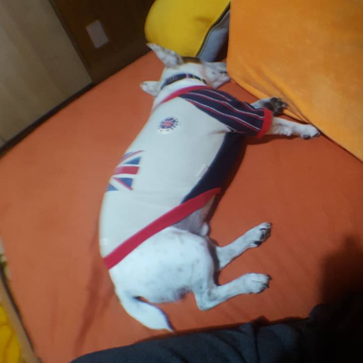 Ee87d83c d2fa 4e34 968d 019ccec84ff4 1548920245178