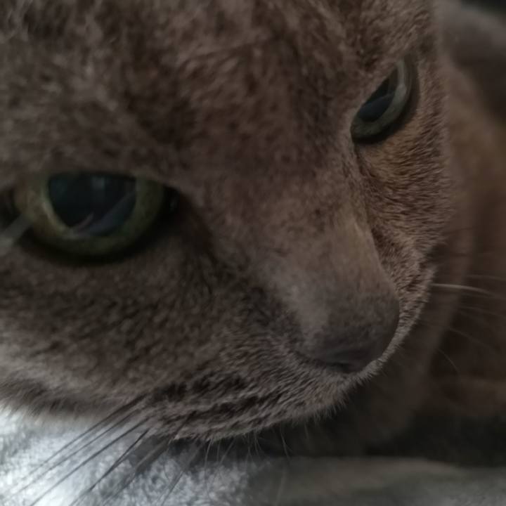 Ee87efe5 b1b4 4743 b8e4 d3de9c520a0c 1585438723653