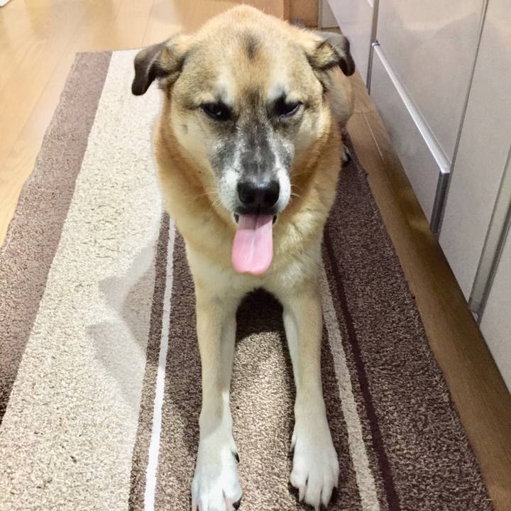 Ee88052b 0d5c 41ef a55a fa164772fb2d 1513740472455