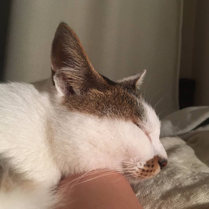 Ee880b06 9a12 4899 8908 a7e4e55ac6af 1632757311764