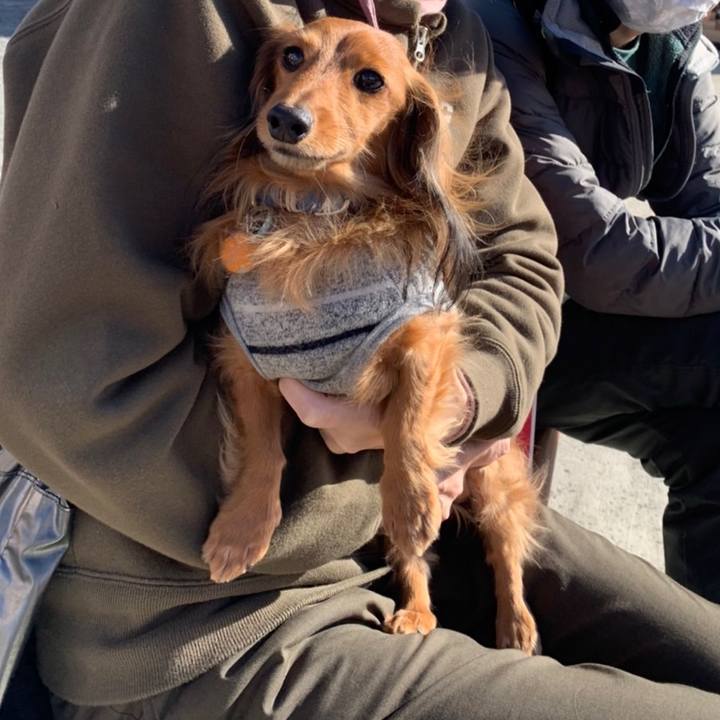 Ee88b090 5731 450e a4b9 0bf7ff2f782d 1641401378735