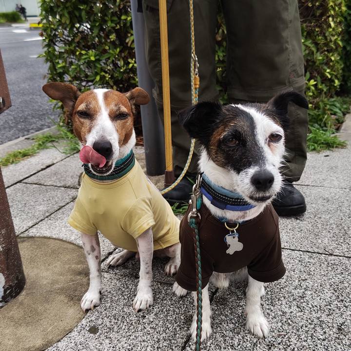 Ee88fd42 02bf 4f7b 87d8 595f505ac8a7 1723069950516