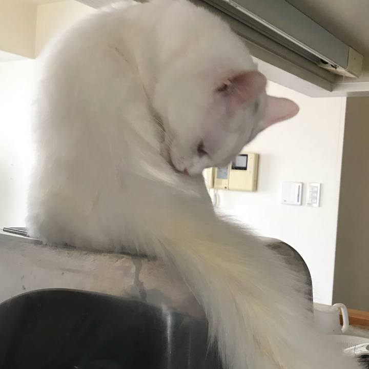 Ee896336 9637 4053 9c7e 78e44ced2989 1518831746254