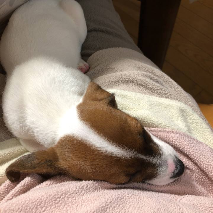 Ee8963c5 b4f1 4fa4 a652 2cb2745b9f6e 1511440577578